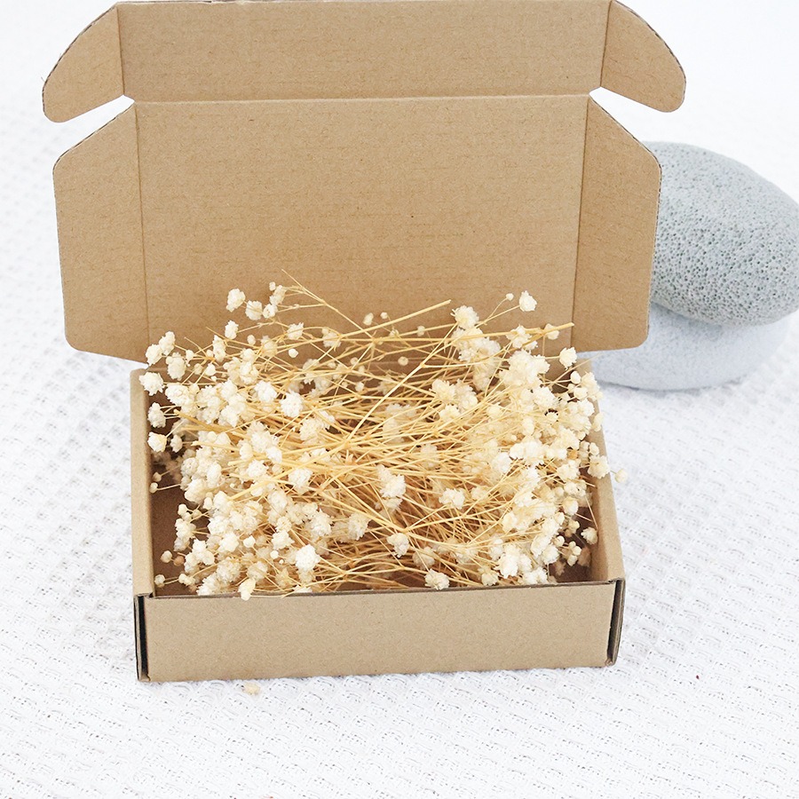 Suszone kwiaty gipsówki 50 szt – Craft Embellishments recenzja i cena