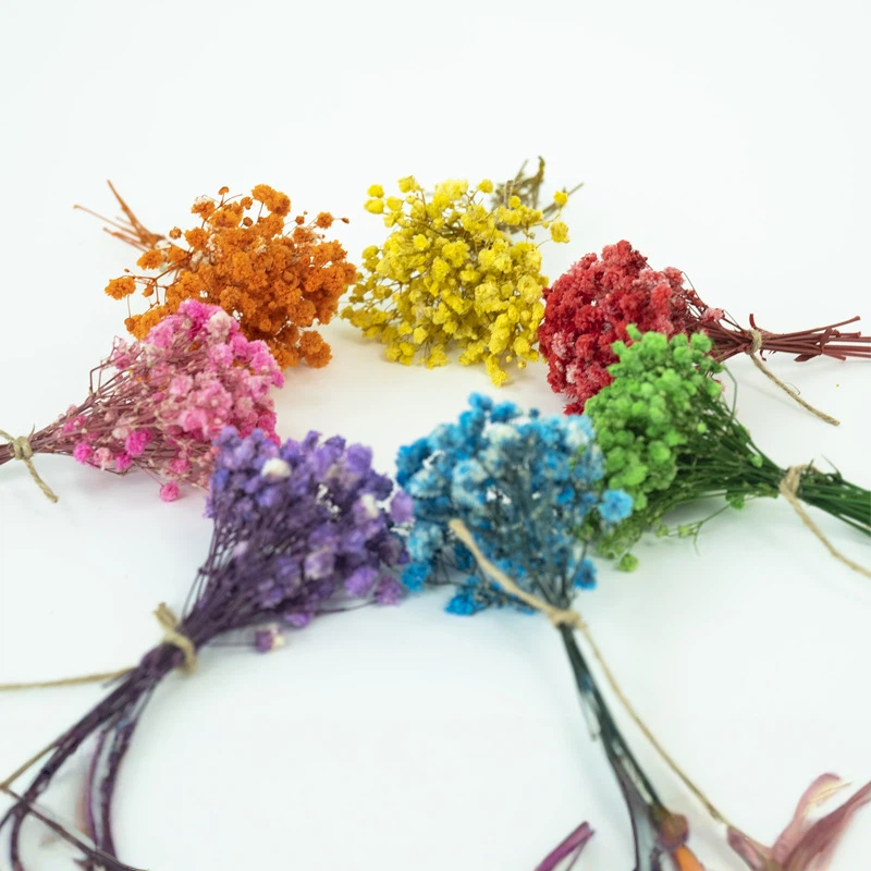 Suszone kwiaty gipsówki 50 szt – Craft Embellishments recenzja i cena